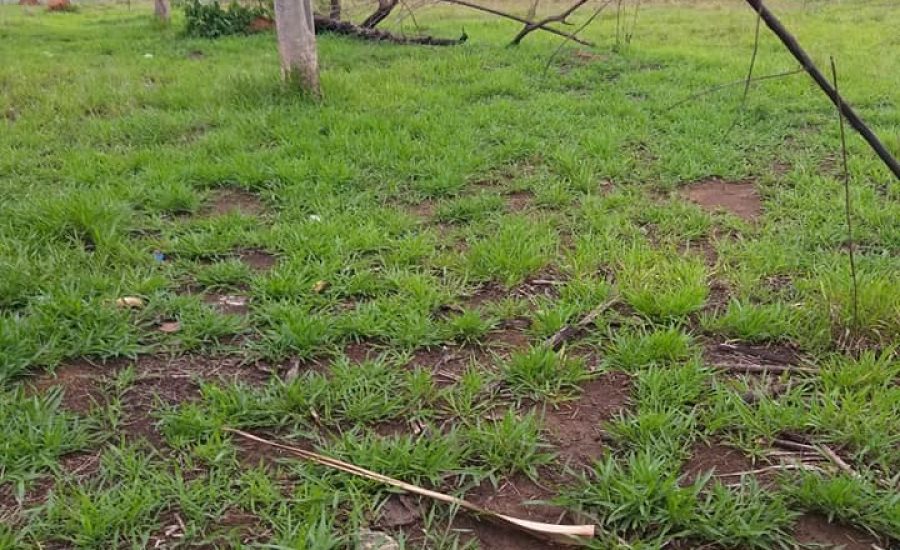 468189941_564805399592930_2946113826293847267_n