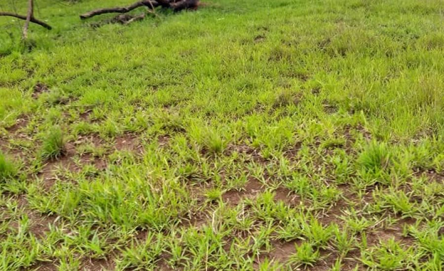 468297400_564805432926260_5867098924818301016_n