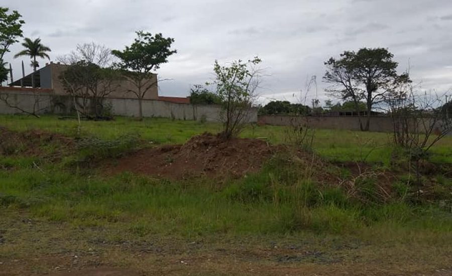 468353373_564805636259573_7632946152810471082_n