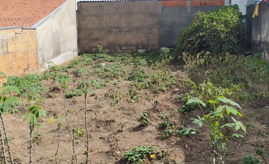 477592048_615638884559302_8770644319353899180_n